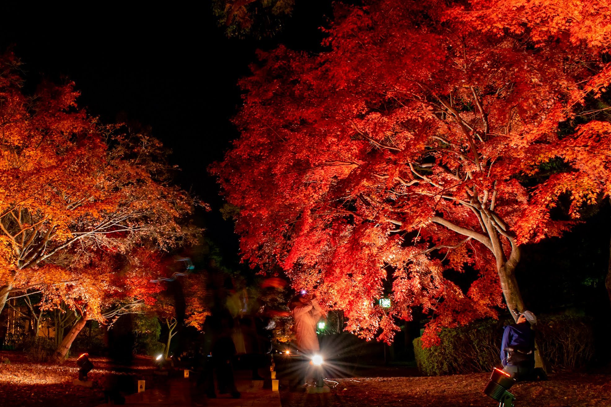🏯 구 호소카와 형부 저택(큐 호소카와 교부테이) 이미지 3